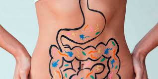 Effetto dei prebiotici sulla salute umana