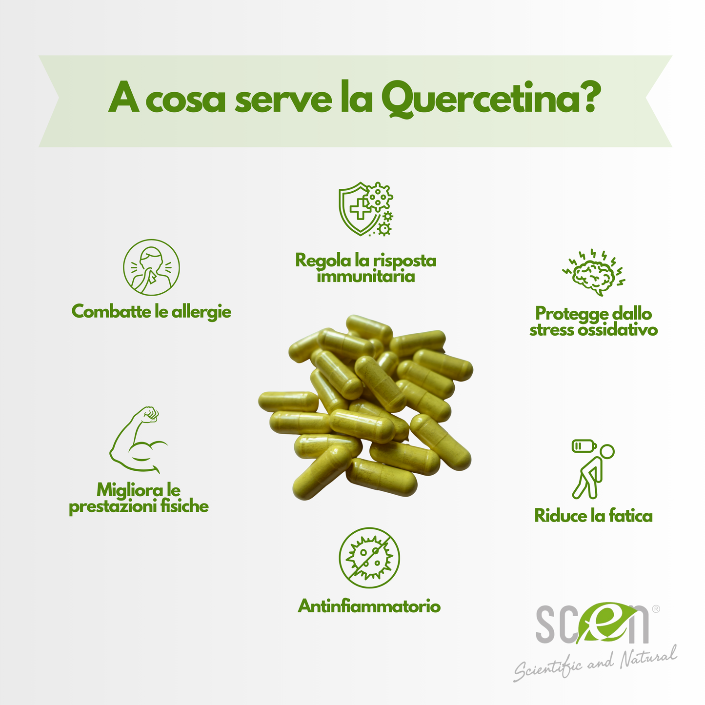 Elkopur® Force Quercetina pura, 120 capsule da 500 mg. con 200 mg. di Quercetina titolata 98% in Quercetina, Vegetarian e Vegan ok, Rinforza il sistema immunitario, Antiossidante, prodotto in Italia