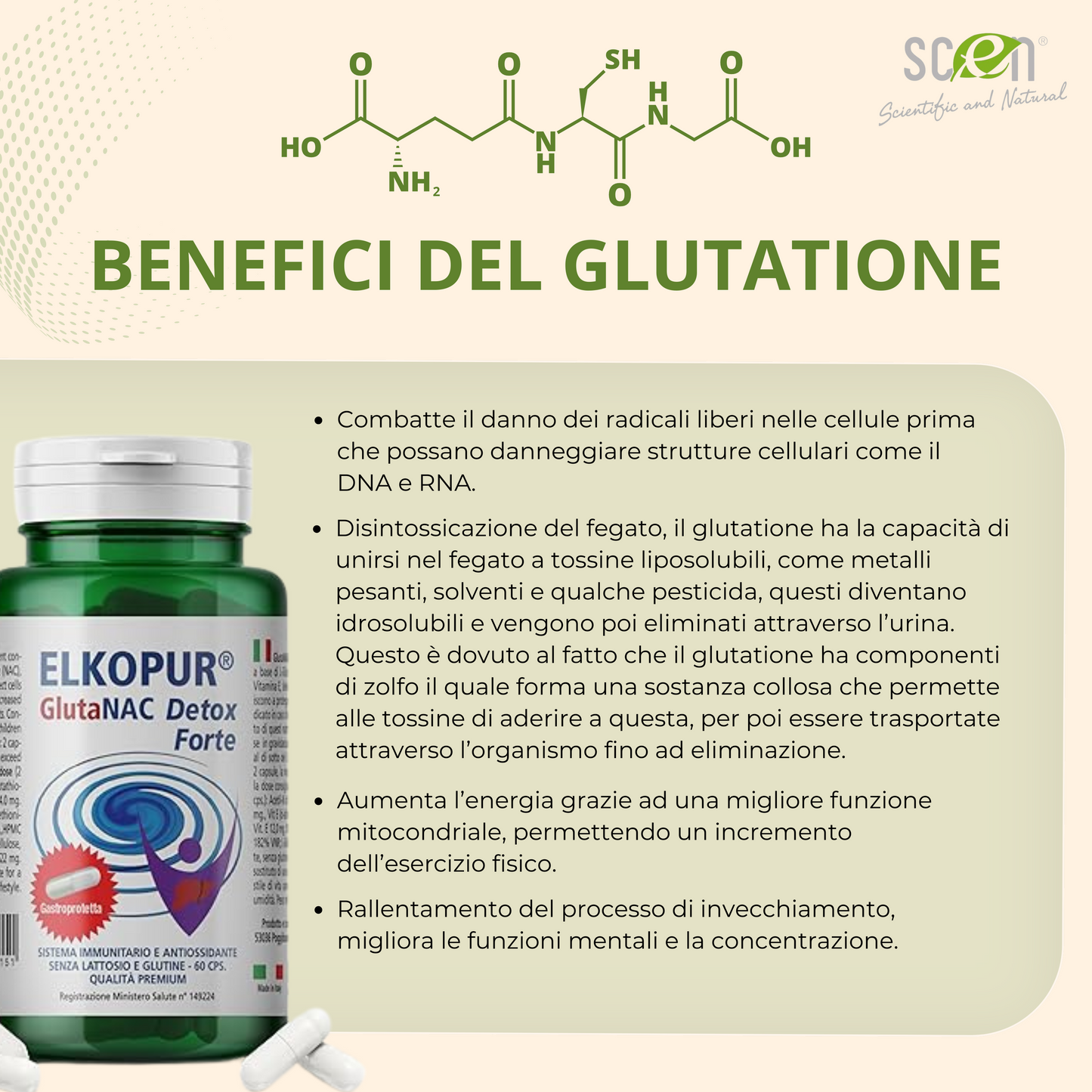 Elkopur GlutaNAC Detox - Food supplement of reduced L-Glutathione, N-Acetylcysteine (NAC), Vitamin E, Selenium, Vegetable gastro-resistant capsules, made in Italy