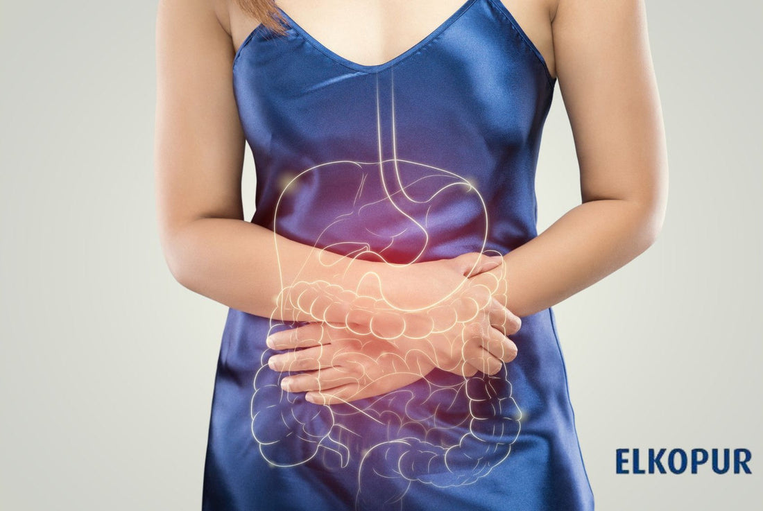 “L’equilibrio invisibile dell’intestino”