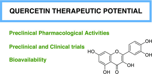 Potenziale terapeutico della quercetina: nuove intuizioni e Prospettive per la salute umana